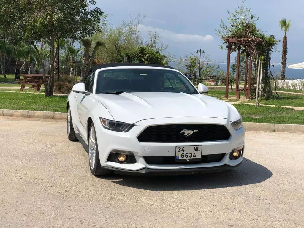 Mustang