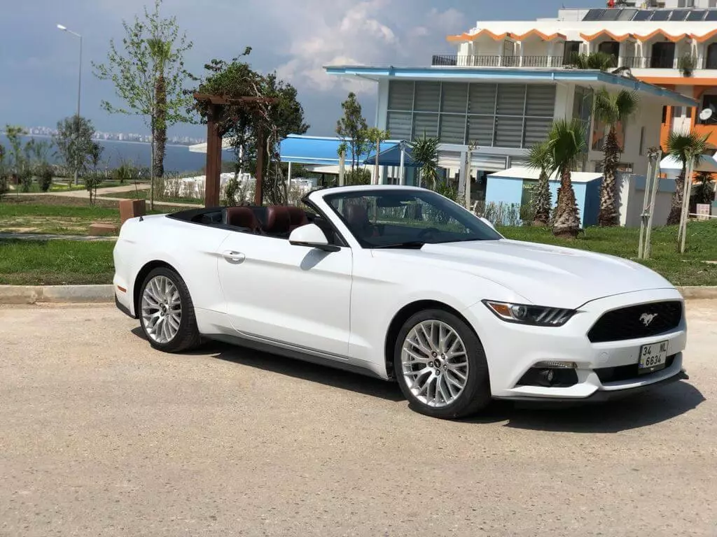 Mustang