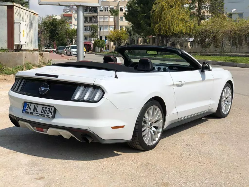 Mustang