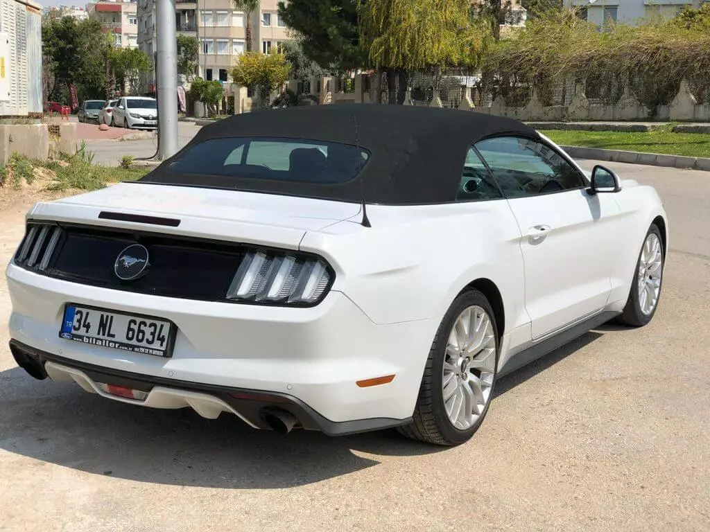 Mustang