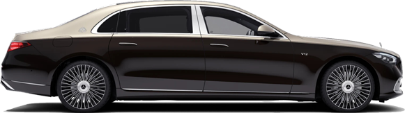 Special Rental Mercedes